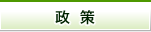 政策