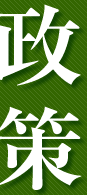 政策